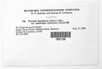 Image Associated With the Occurence